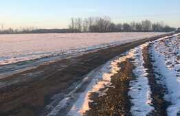 Teren extravilan, 70.000 mp, front la drumul judetean, Pischia! 