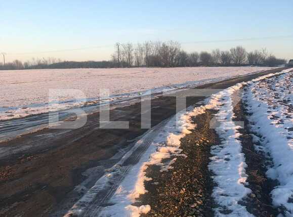 Teren de vânzare Pischia - 78739TV | BLITZ Timișoara | Poza1