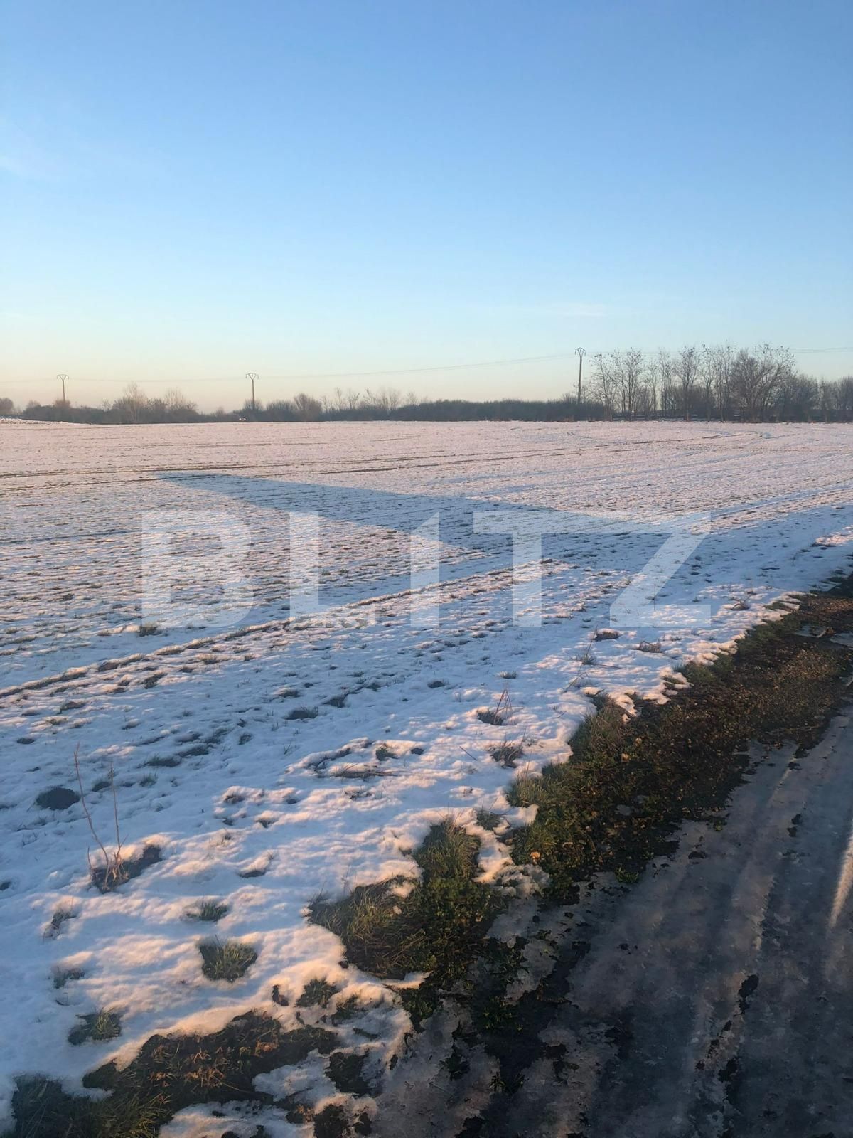 Teren de vânzare Pischia - 78739TV | BLITZ Timișoara | Poza2