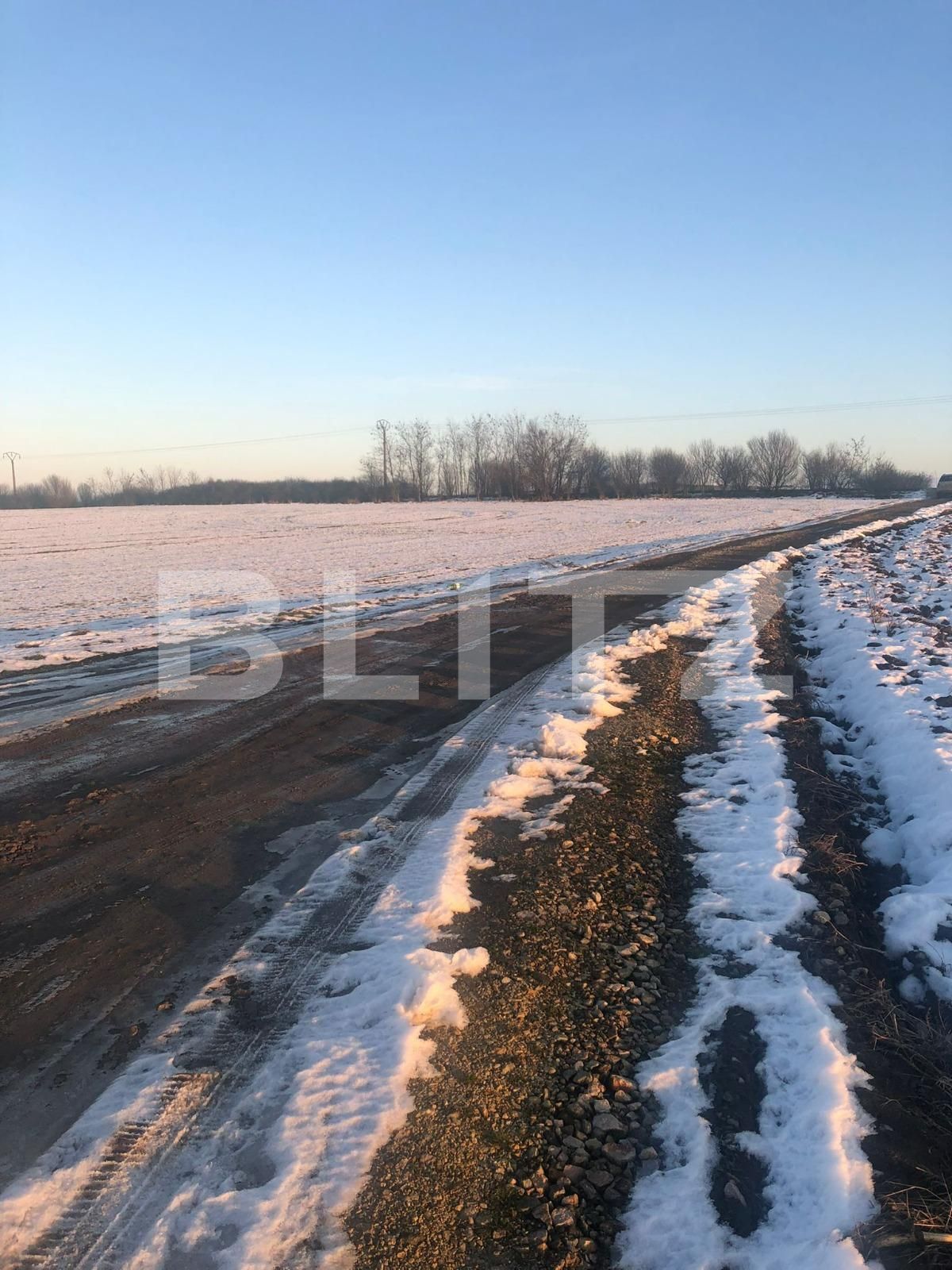 Teren de vânzare Pischia - 78739TV | BLITZ Timișoara | Poza1