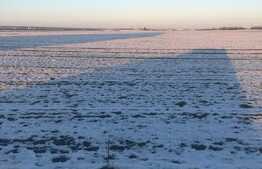 Teren extravilan, 106.400 mp, la drumul Judetean, in Pischia! 