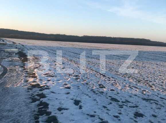 Teren de vânzare Pischia - 78749TV | BLITZ Timișoara | Poza1