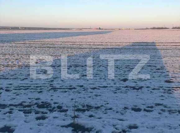 Teren de vânzare Pischia - 78749TV | BLITZ Timișoara | Poza2