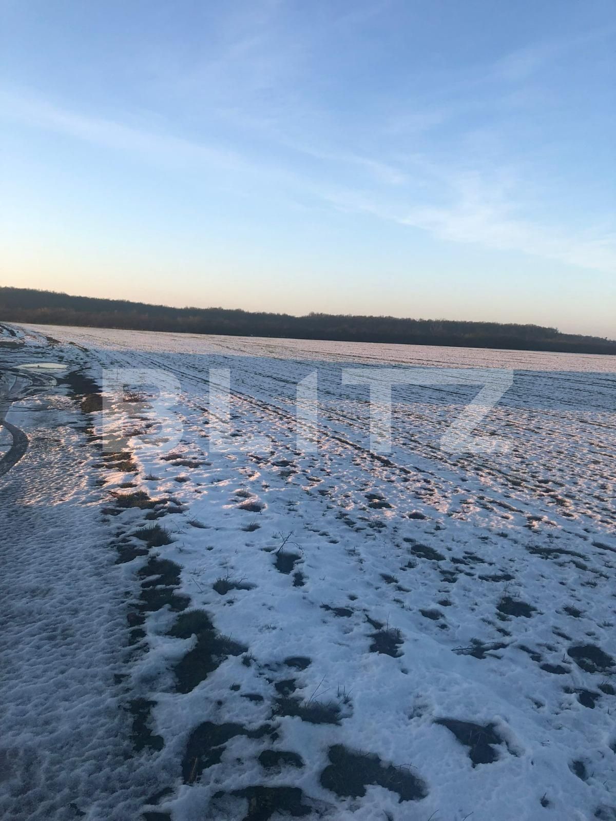 Teren de vânzare Pischia - 78749TV | BLITZ Timișoara | Poza1