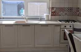 Duplex mobilat si utilat, 215 mp utili, zona padurea verde, Dumbravita