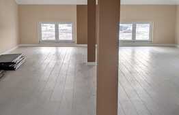 Duplex mobilat si utilat, 215 mp utili, zona padurea verde, Dumbravita