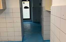 Spatiu comercial, 120 mp, Piata Unirii