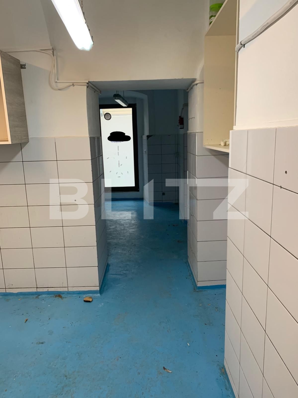 Spațiu comercial de închiriat P-ta Unirii - 78804SIC | BLITZ Timișoara | Poza3