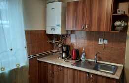 Ocazie, casa foarte frumoasa cu teren plus apartament, Ghiroda!