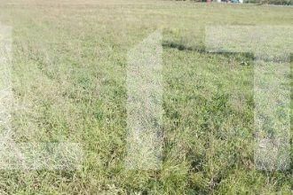 Teren de vânzare Ghiroda - 78858TV | BLITZ Timișoara | Poza1