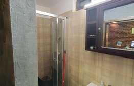  Apartament 2 camere semidecomandat, demisol, 47 mp utili, zona Balcescu