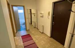 Apartament decomandat, modern, de 2 camere, zona Aradului