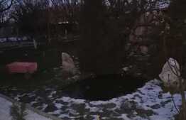 Ocazie, superba in Sag, teren frumos amenajat 1000 mp, 4 dormitoare suprafata utila 300 mp