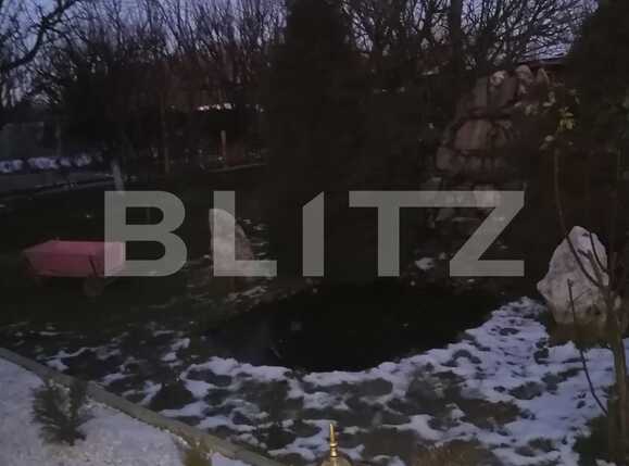 Casa de vânzare 6 camere Sag - 79085CV | BLITZ Timișoara | Poza8