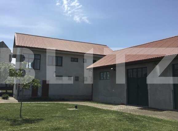 Spațiu comercial de vânzare Timocului-Saguna - 79110SVC | BLITZ Timișoara | Poza5