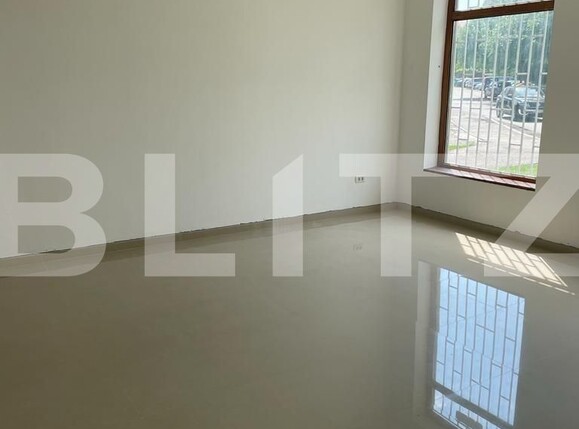 Spațiu comercial de vânzare Timocului-Saguna - 79110SVC | BLITZ Timișoara | Poza3