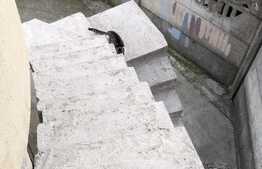 Casa individuala, suprafata generoasa, 360 mp utili, zona Mehala