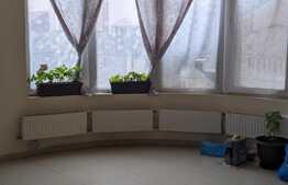 Casa individuala, suprafata generoasa, 360 mp utili, zona Mehala