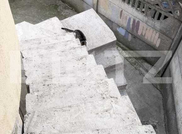 Casa de vânzare 12 camere Mehala - 79130CV | BLITZ Timișoara | Poza3