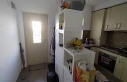 Ocazie, casa insiruita si curte la pret de apartament, 80 mp, de vanzare in Timisoara!