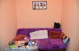 Apartament de 2 camere la curte comună în zona Iosefin