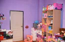 Apartament de 2 camere la curte comună în zona Iosefin