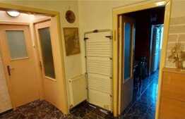 Apartament cu 2 camere in zona Torontalului