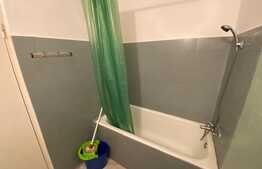 Apartament de 3 camere, 70 mp, pet-friendly, zona Circumvalatiunii