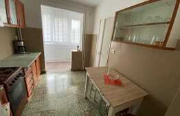 Apartament de 3 camere, 70 mp, pet-friendly, zona Circumvalatiunii