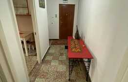 Apartament de 3 camere, 70 mp, pet-friendly, zona Circumvalatiunii