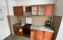 Apartament de 3 camere, 70 mp, pet-friendly, zona Circumvalatiunii