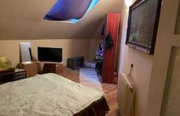 Oportunitate, casa cu spatiu comercial, 188 mp utili, zona Blascovici