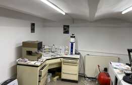 Oportunitate, casa cu spatiu comercial, 188 mp utili, zona Blascovici