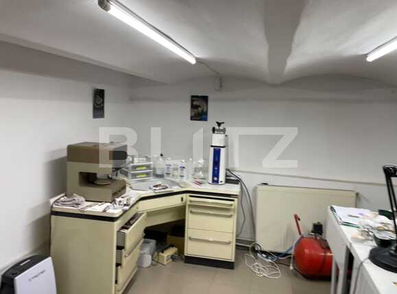 Casa de vânzare 5 camere Blascovici - 79531CV | BLITZ Timișoara | Poza4