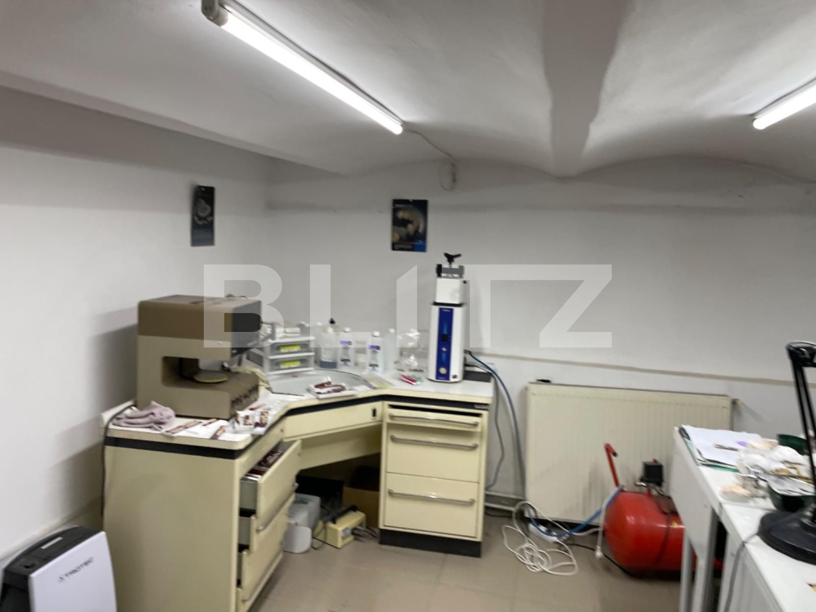 Casa de vânzare 5 camere Blascovici - 79531CV | BLITZ Timișoara | Poza4