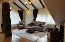 Casa deosebita, 220 mp utili, 660 mp teren, la cheie, Dumbravita