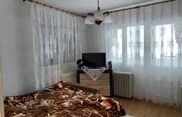 Ocazie, Duplex foarte mare 192 mp utili, mobilat, Ghiroda Noua 