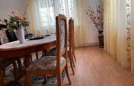 Ocazie, Duplex foarte mare 192 mp utili, mobilat, Ghiroda Noua 