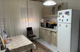 Ocazie, Duplex foarte mare 192 mp utili, mobilat, Ghiroda Noua 