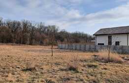 Teren superb, intravilan, 1136 mp, in Bazosu Nou! Oportunitate!