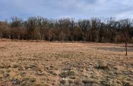 Teren superb, intravilan, 1136 mp, in Bazosu Nou! Oportunitate!