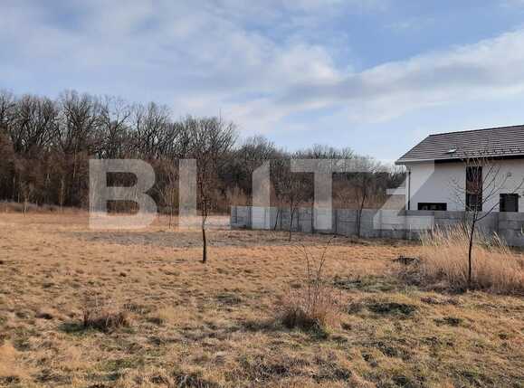 Teren de vânzare Exterior Est - 79775TV | BLITZ Timișoara | Poza1