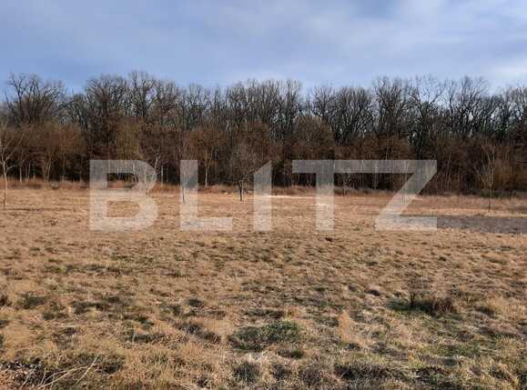 Teren de vânzare Exterior Est - 79775TV | BLITZ Timișoara | Poza2