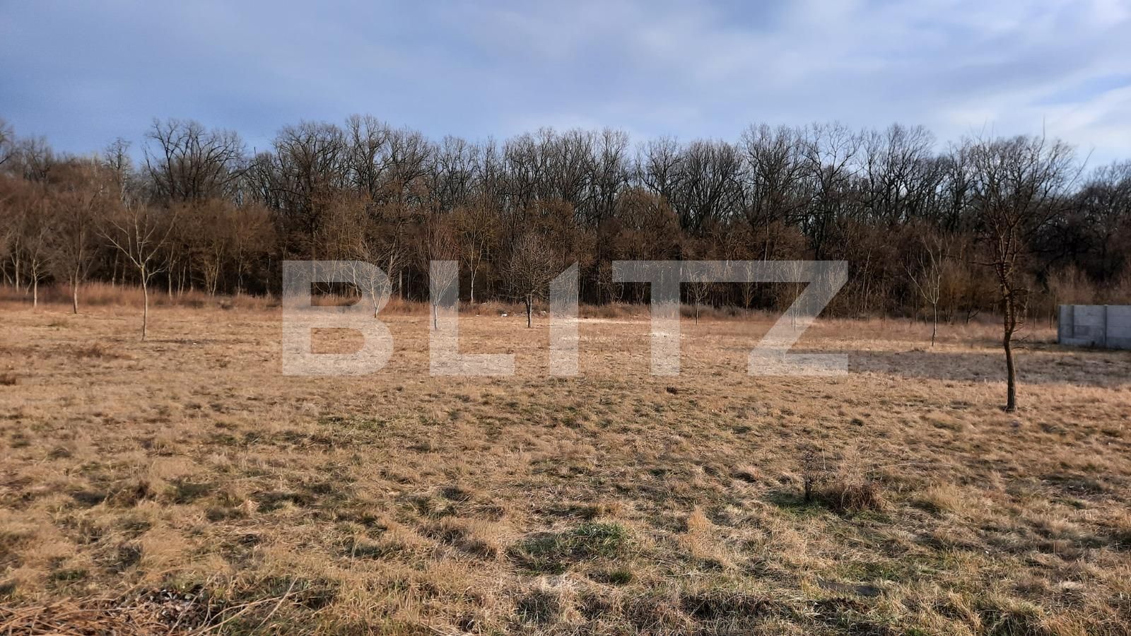 Teren de vânzare Exterior Est - 79775TV | BLITZ Timișoara | Poza2