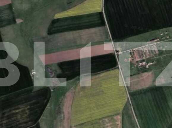 Teren de vânzare Mașloc - 79791TV | BLITZ Timișoara | Poza1