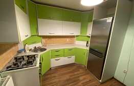 Casa cocheta de inchiriat, 150 mp utili, Giroc