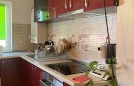 Apartament de 2 camere, semidecomandat, modern, zona Girocului 