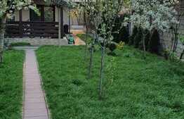 Vila + afacere la cheie zona Elisabetin, teren 400 mp