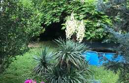 Casa individuala de 198 mp, 432 mp teren, locatie excelenta! Giroc!