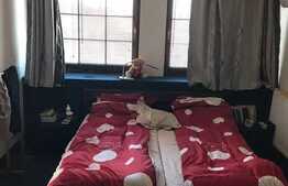 Casa individuala de 198 mp, 432 mp teren, locatie excelenta! Giroc!